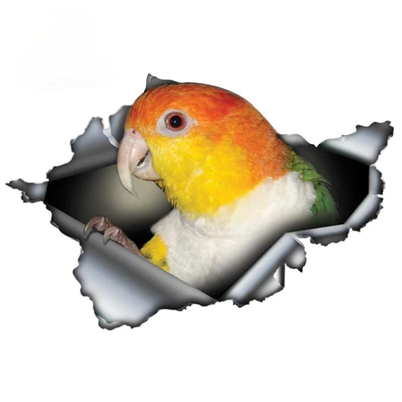 

Funny Rusty Caique Car Sticker Torn Metal Decal Reflective Motorcycle Laptop Vinyl Sticker Personality Car Decoration