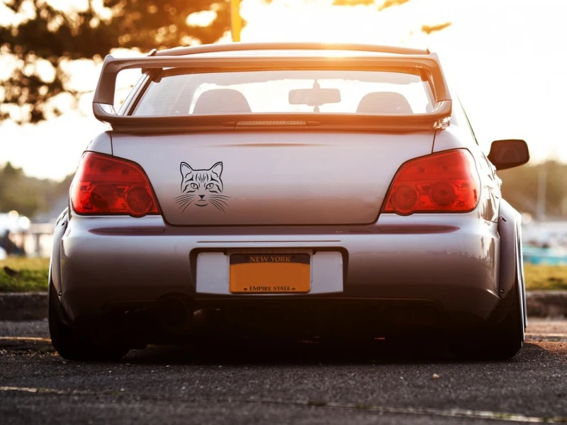 Матовые мышления длинная борода кот автомобильные наклейки и графика для