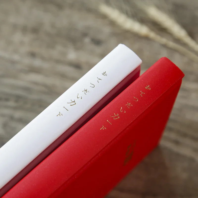 Новинка 2021 жесткий чехол с надписью My Heart ежедневник на 100 дней записная книжка