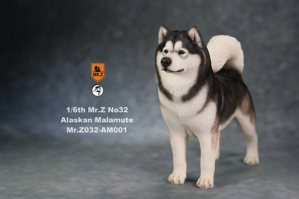 

In Stock Collectible 1/6 Scale Mr.Z No.032 Alaskan Malamute Dog Animal Action Figure Model Toy for 12 inches Action Figure