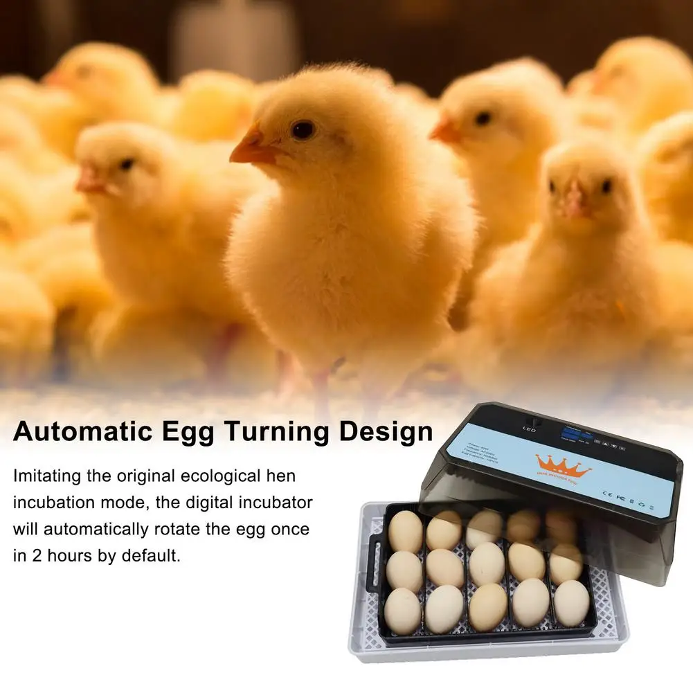 

Egg Incubator Digital Fully Automatic Incubator Poultry Hatcher Machine for Chickens Ducks Goose Birds