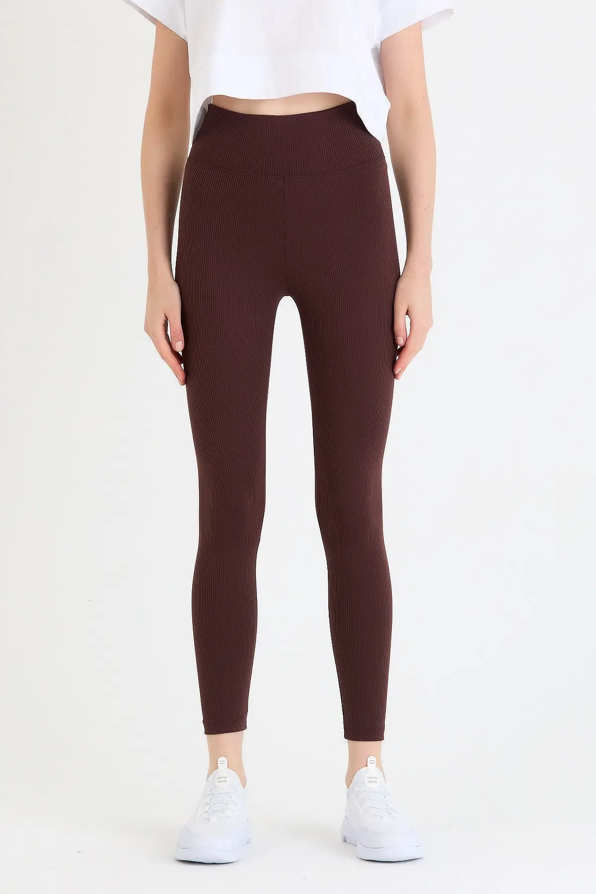 Women's Brown High Bel Ribbed Knit Leggings