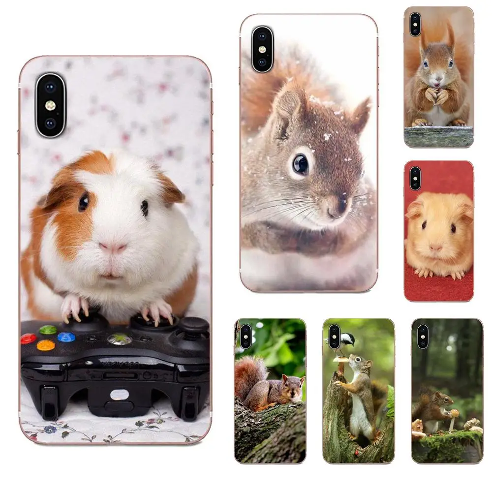 Белка морская свинка мышь арахис жадный для Huawei Honor 5C 5X 6A 6X 7 7A 7X 8 8A 8S 8X 9 10 30 Lite Pro Y6 II