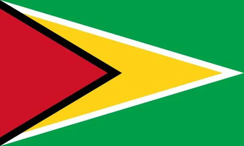 Полный комплект Гайана 20 долларов рандомный год стандартная партия 100 шт. заметок