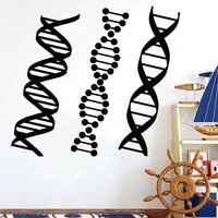 dna genealogy wall sticker biology chemistry decal school science class stickers personalized home decor bedroom mural c13 02
