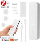 Умные электрические занавески Tuya ZigBee TM616EGZT, устройство с голосовым управлением, совместимо с Alexa Google Home