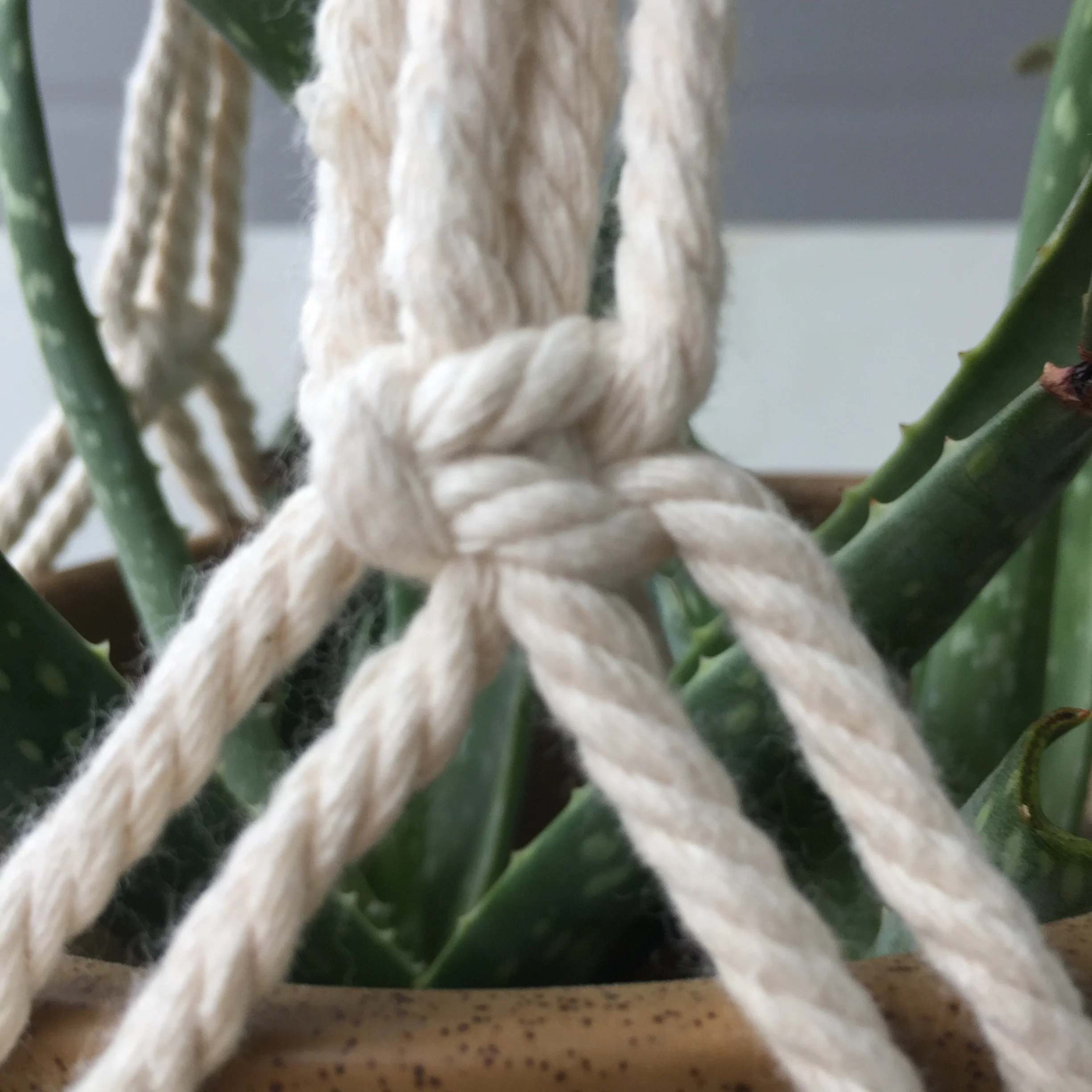 Новое поступление большая вешалка для горшка сада и дома|Лотки горшков| |