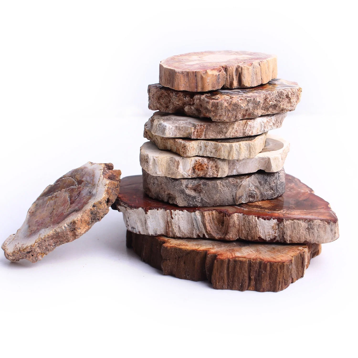 1 шт. полированный микросекти из натурального окаменевшего дерева кусочки