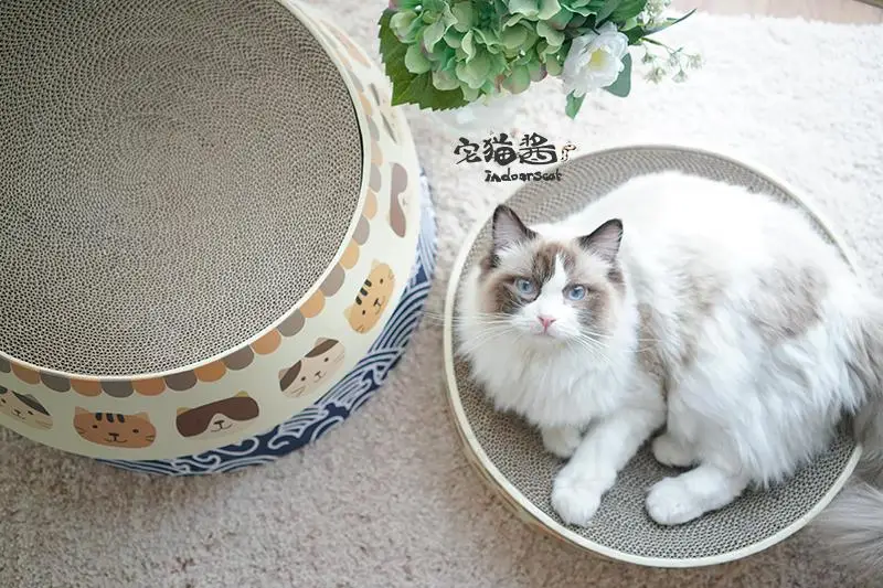 Вулканическое гнездо для кошек кошачье лицо от царапин благоприятное утолщенное