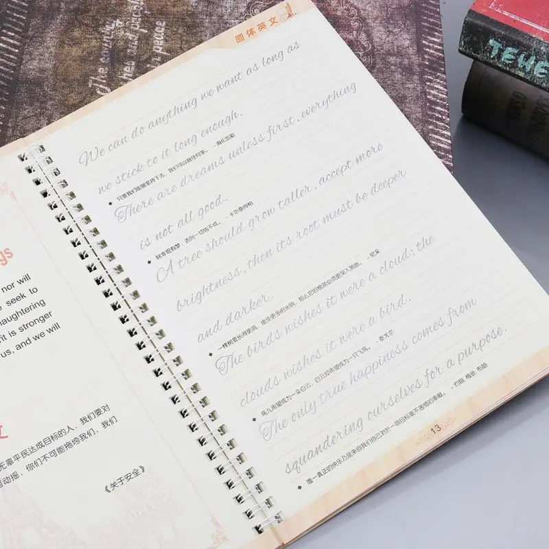 Курсивное письмо английская каллиграфия авторская книга для взрослых детей