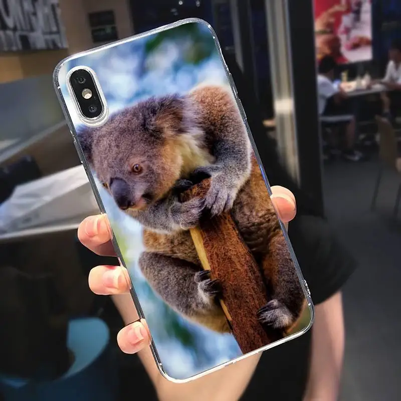 

koala cute animal Phone Case Transparent soft For iphone 5 5s 5c se 6 6s 7 8 11 12 plus mini x xs xr pro max