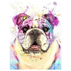 Полноразмерная картина из страз 5D сделай сам с изображением милой красочной собаки, мозаика, вышивка крестиком стразы, украшение спальни FH733