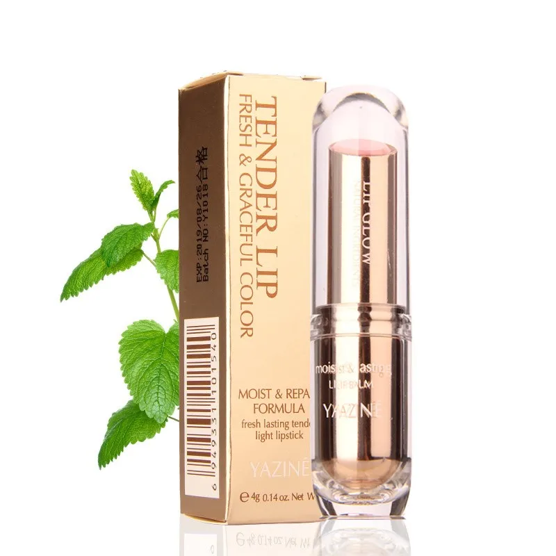 

Fashion Lip Makeup Rouge A Levre Matte Nude Liquid Lipstick Long Lasting Maquiagem Waterproof Lip Kit Beauty