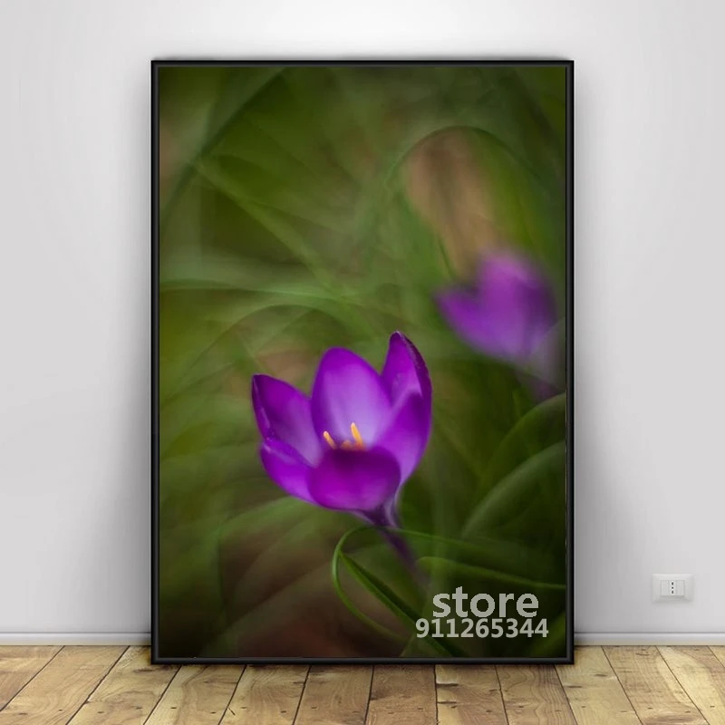

Crocus Swirl светящийся современный пейзаж Фотография стены Искусство домашний декор плакат художественная живопись для спальни