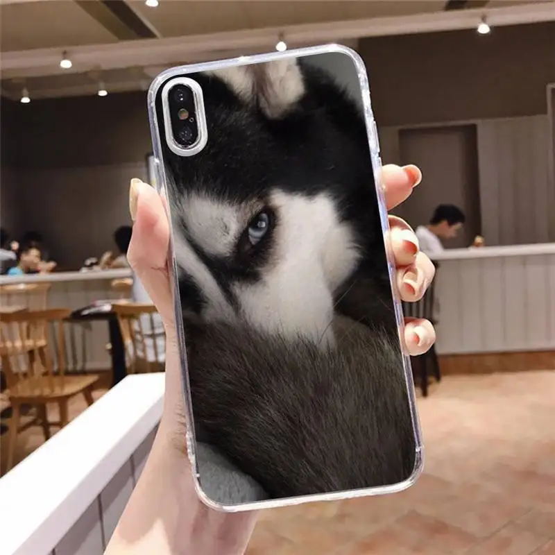 

Husky Dog Funny animals Phone Case Transparent soft For iphone 5 5s 5c se 6 6s 7 8 11 12 plus mini x xs xr pro max
