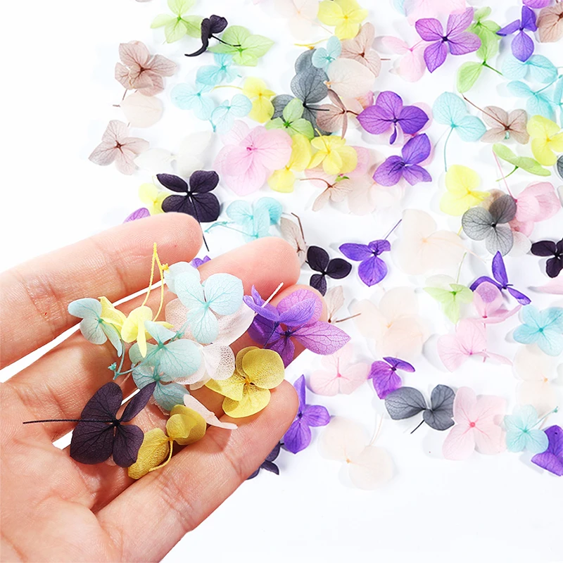 1 коробка сушеные цветы лист DIY украшения для ногтей Красота цветение подсолнухи советы натуральные Подвески наклейки для ногтей аксессуары