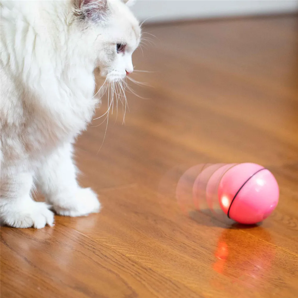 Автоматическая usb зарядка кошка тизер светодиодный питомец движение мяч игрушка