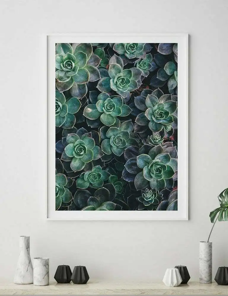 

Agave Succulent Botanical Wall Art Print. Great Home Decor. A3 A2 A1 Sizes decoration mural Canvas Print Wall Art Picture