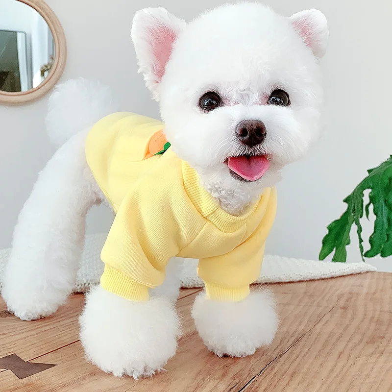 

Закрывающаяся Одежда для собак, кошек, Бишон, маленькая собака, тонкий шнауцер, Тедди, Померанская Одежда для собак, весна и осень