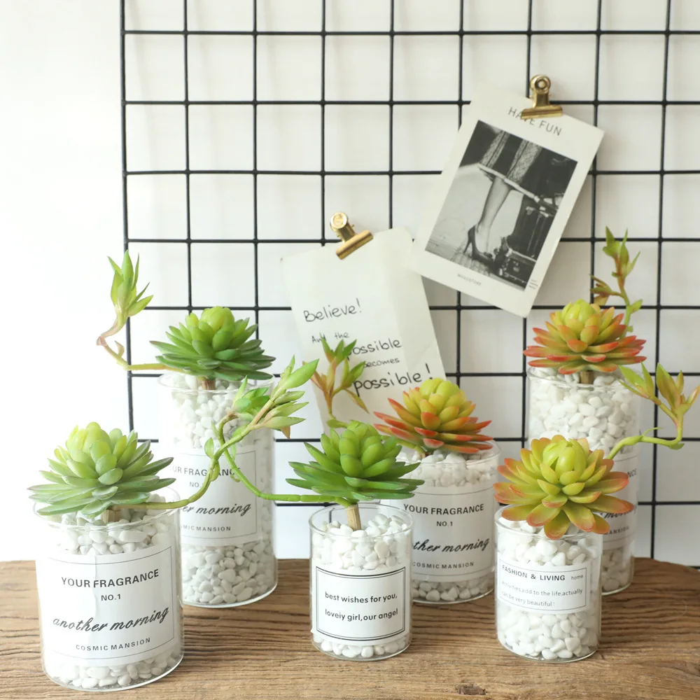 Artificial Succulents Plants Green Purple Red White Blue Flocking Home Garden Decoration Plastic Mini Desktop Bonsai | Дом и сад