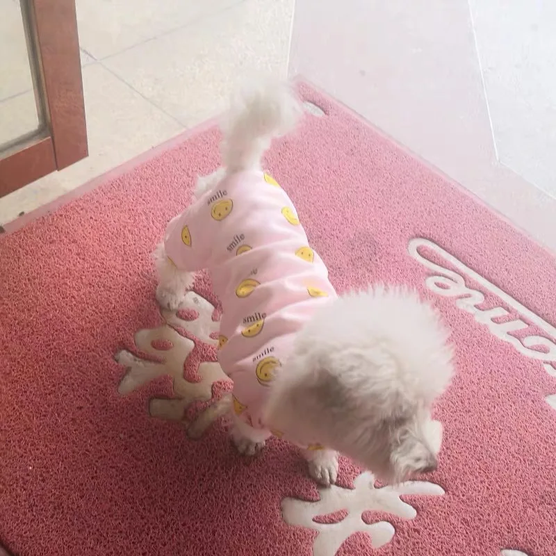 Одежда с принтом в виде собак для маленьких мягкий свитер Собаки Зима Чихуахуа