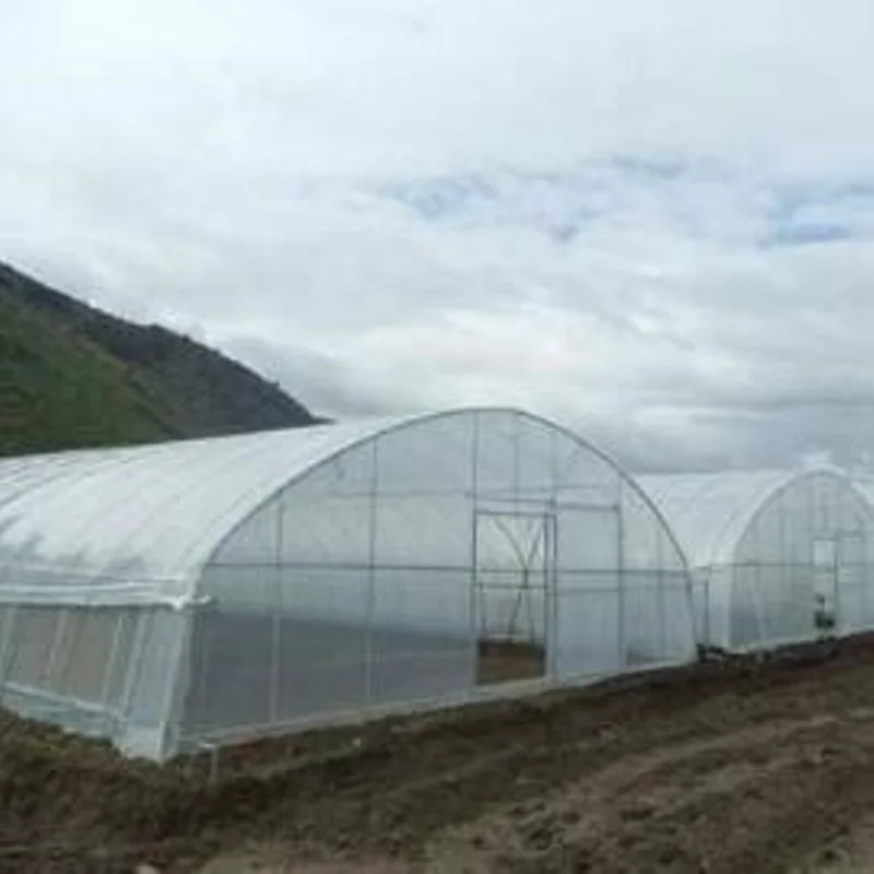 Рисунок 6 - Туннельная теплица для овощей