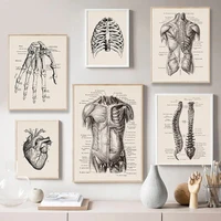 vintage wall art human organs anatomy posters and prints artwork medical wall pictures muscle skeleton canvas print painting