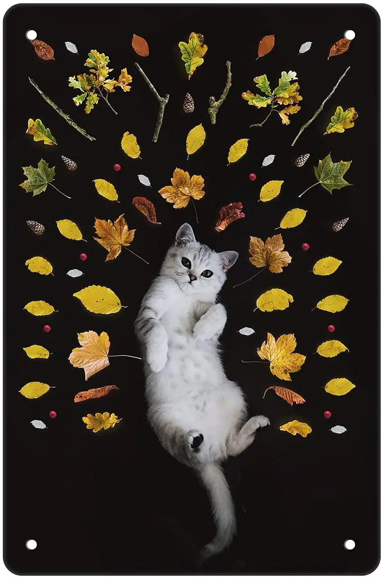 

Настраиваемый милый кот, металлическая жестяная вывеска, украшение для дома, спальни, кухни, настенный знак, украшение для клуба, 12*8 дюймов