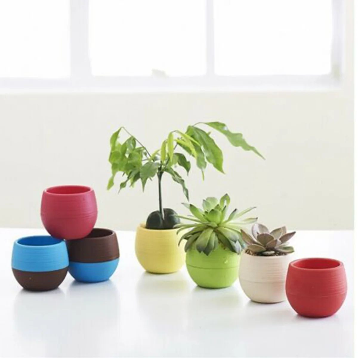 

Planter Flower Pots Tool Supply Decoration 10Pcs Plastic Succulent Plant