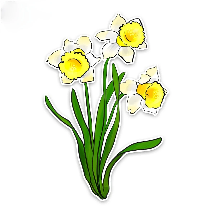 

Beautiful Colored Daffodils Car Stickers Bumper Trunk Laptop Rear Windshield Bumper Cover Scratches Sticker PVC15x10cm