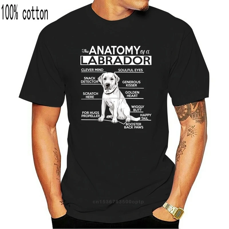 

New 2021 2021 Short Sleeve Casual Anatomy of A Labrador Tshirt Summer Casual Man T Shirt Good Quality
