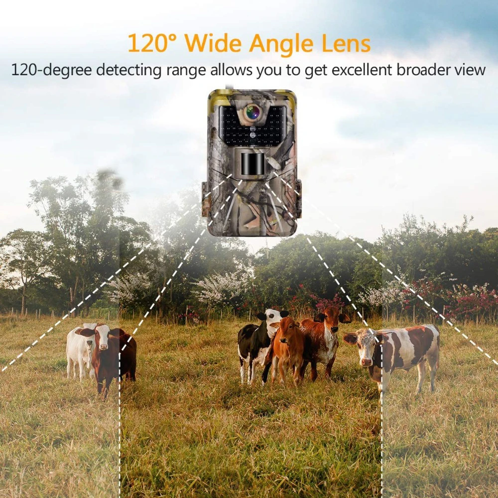 

1080P, 20 , Wi-Fi