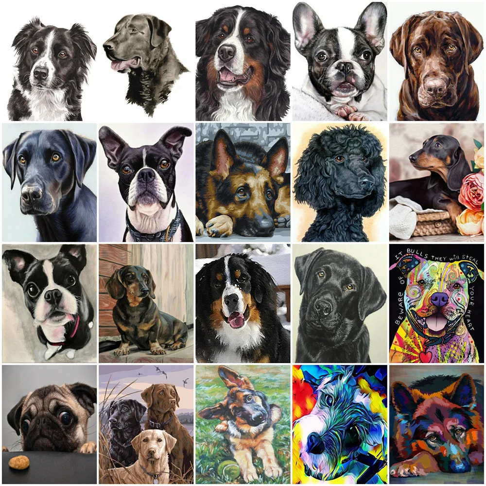 

Картина по номерам на холсте HUACAN, акриловая рамка «сделай сам» для рисования собак, животных, волк, для гостиной