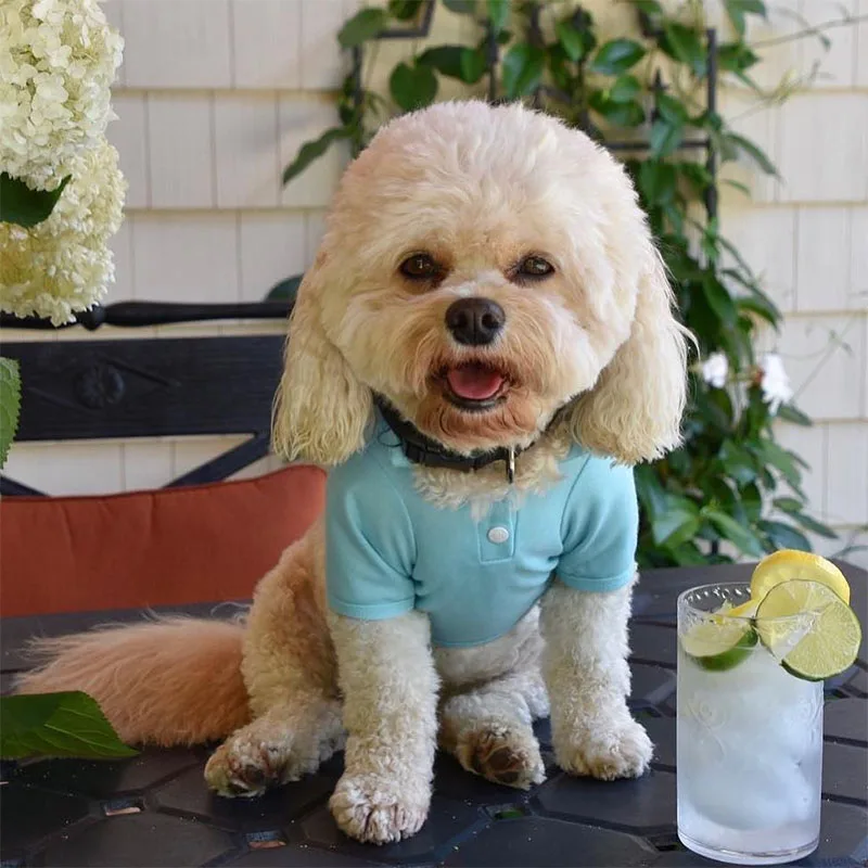 Рубашка поло для собак однотонная одежда домашних животных Одежда маленьких и