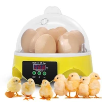 eggs incubator brooder bird hatcher turner automatic farm incubation tools quail chick hatchery incubator poultry