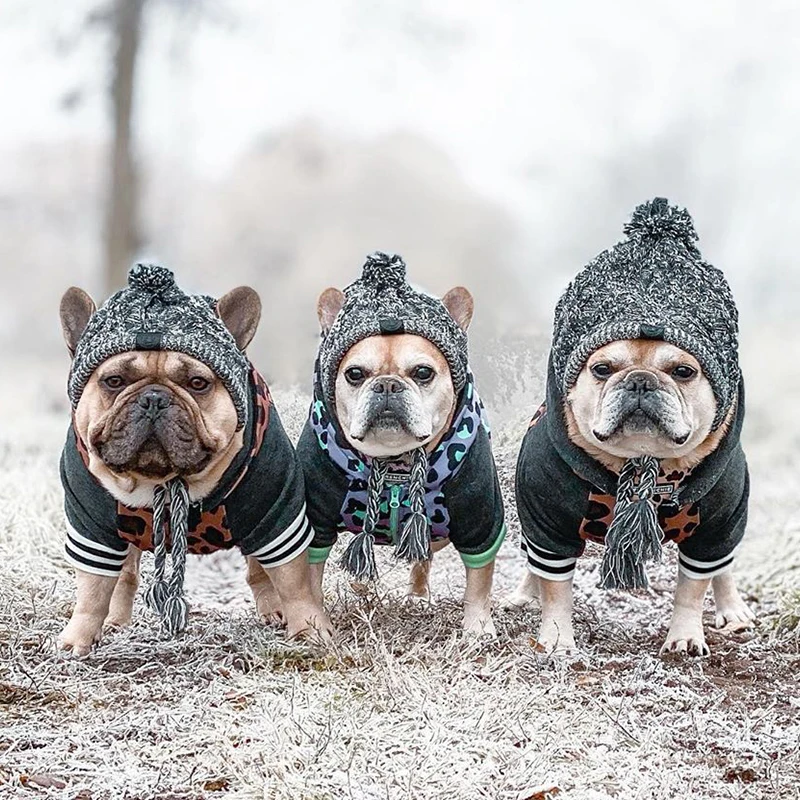 

Pet Dog Woolen Hat Windproof And Warm Hat With Fur Ball For Autumn And Winter Cute Personalized Pet Bulldog Clothing Supplies