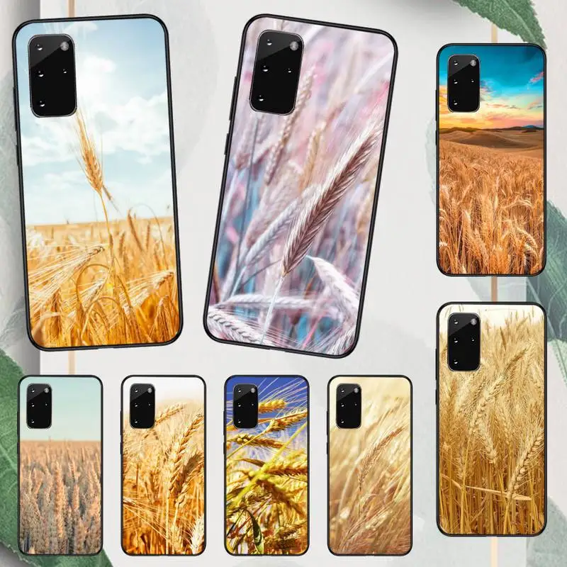 

Raw material for bread wheat pattern Phone Case For Samsung galaxy A S note 10 12 20 32 40 50 51 52 70 71 72 21 fe s ultra plus