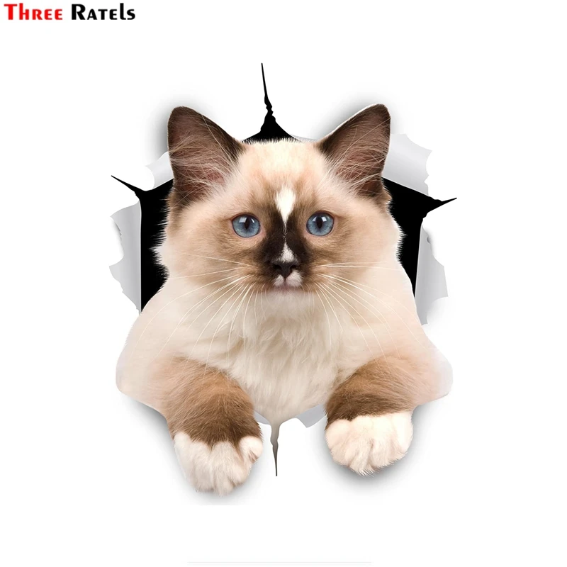 

Three Ratels 3D Cat Stickers Brown & White Ragdoll Cat Sticker On Wall Fridge Toilet For Girls Boys Kids