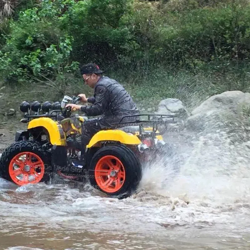 Может работать в воде 250CC большой двигатель приведенный действие газом ATV mtb