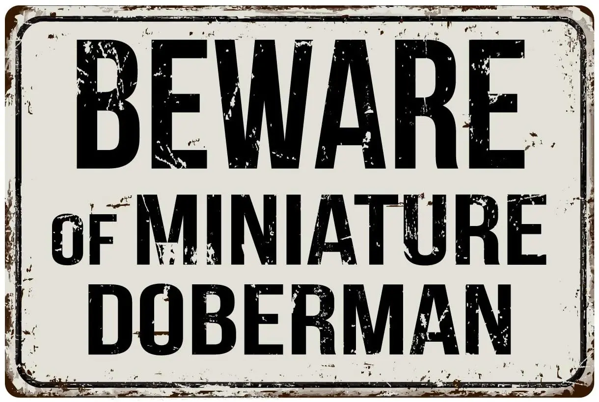 

387VS Beware of Miniature Doberman 8 x 12 Vintage Aluminum Retro Metal Sign