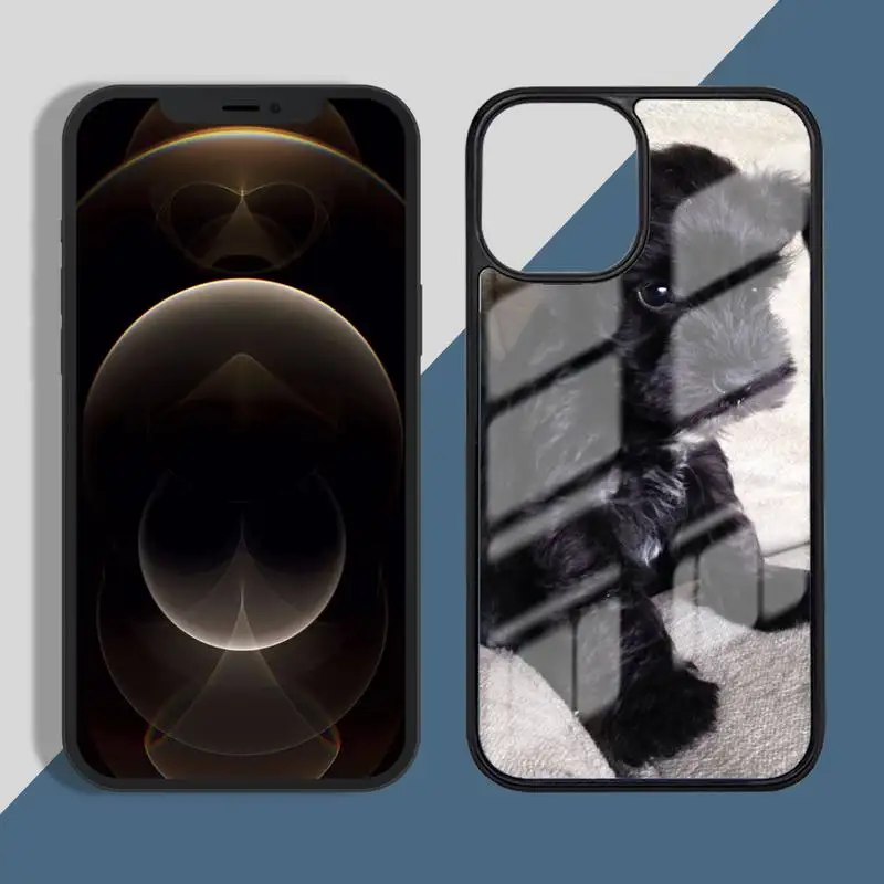 

Lovely Dogs Schnauzer Phone Case PC for iPhone 11 12 pro XS MAX 8 7 6 6S Plus X 5S SE 2020 XR