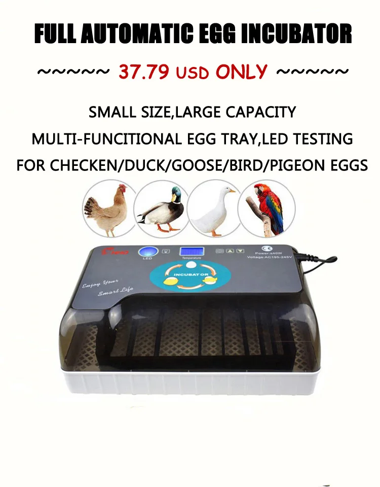 HHD Newest 4 Eggs Incubator Mini Hatchery Machine Automatic Digital Poultry Brooder Hatch For Chicken Duck Bird Pigeon Quail Egg