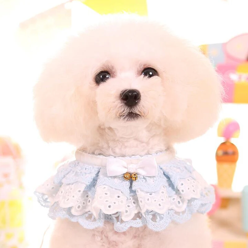 Ошейник для питомца кошки собаки кружевной нагрудник с шарфом милое платье