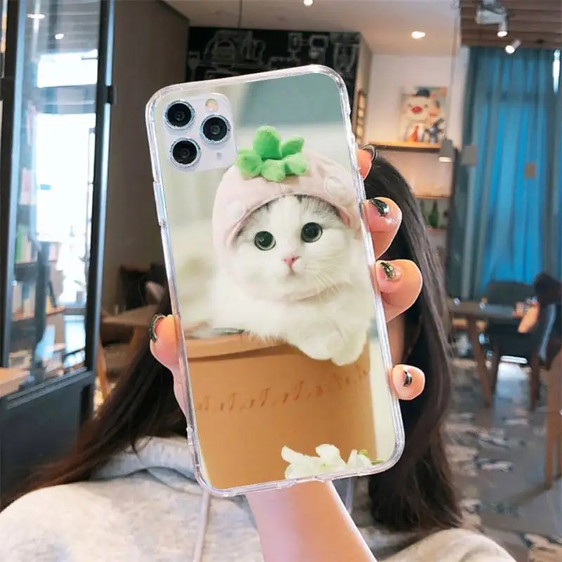 

cute cat Phone Case Transparent soft For iphone 5 6 7 8 11 12 s c se plus mini x xs xr pro max cover shell funda