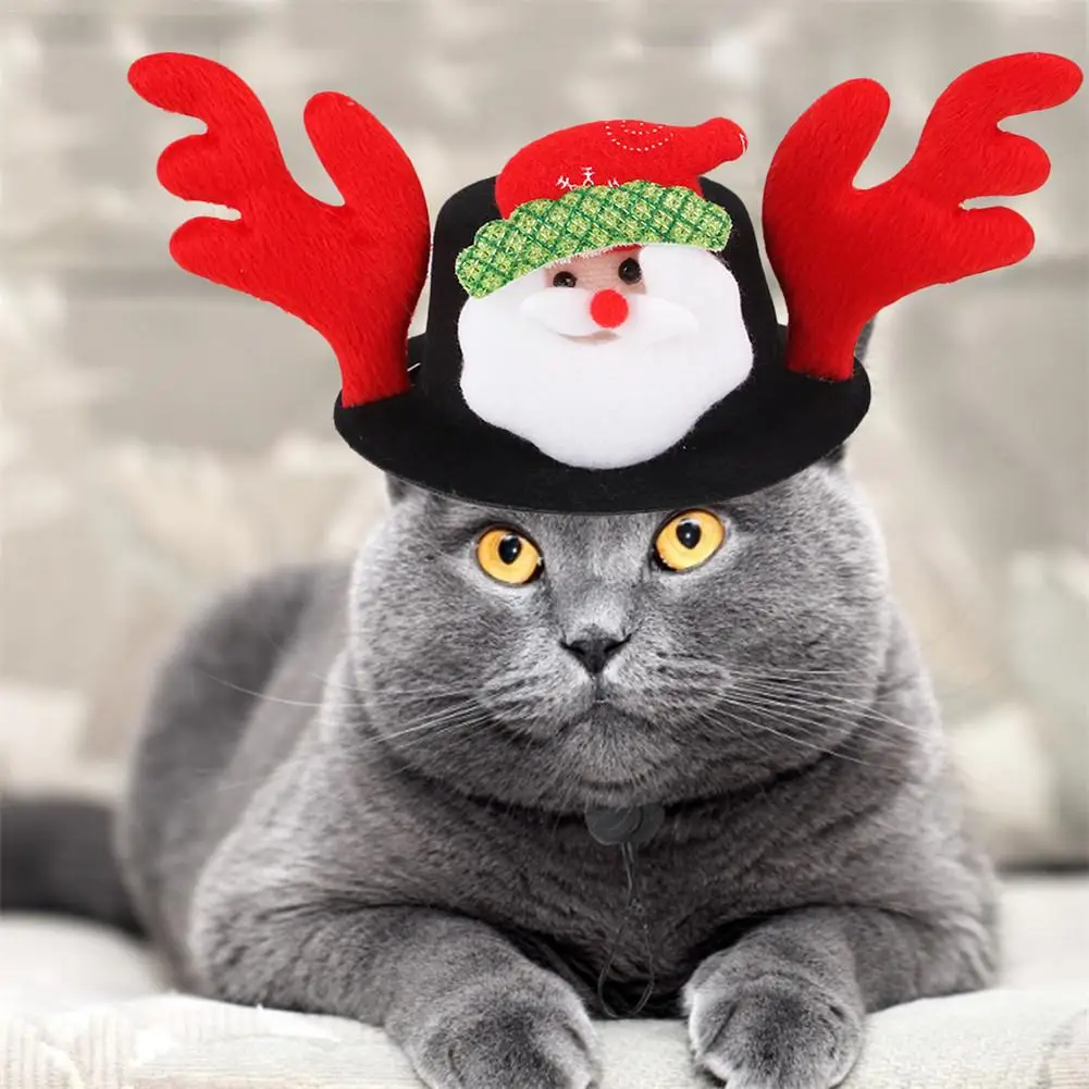 Кошка шляпа для животных Рождественские парики кота собаки домашнего животного