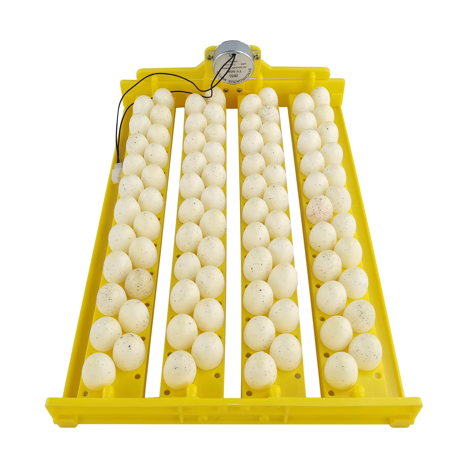 Инкубатор для яиц автоматический 220 В 110 12 лоток инкубатора | Дом и сад