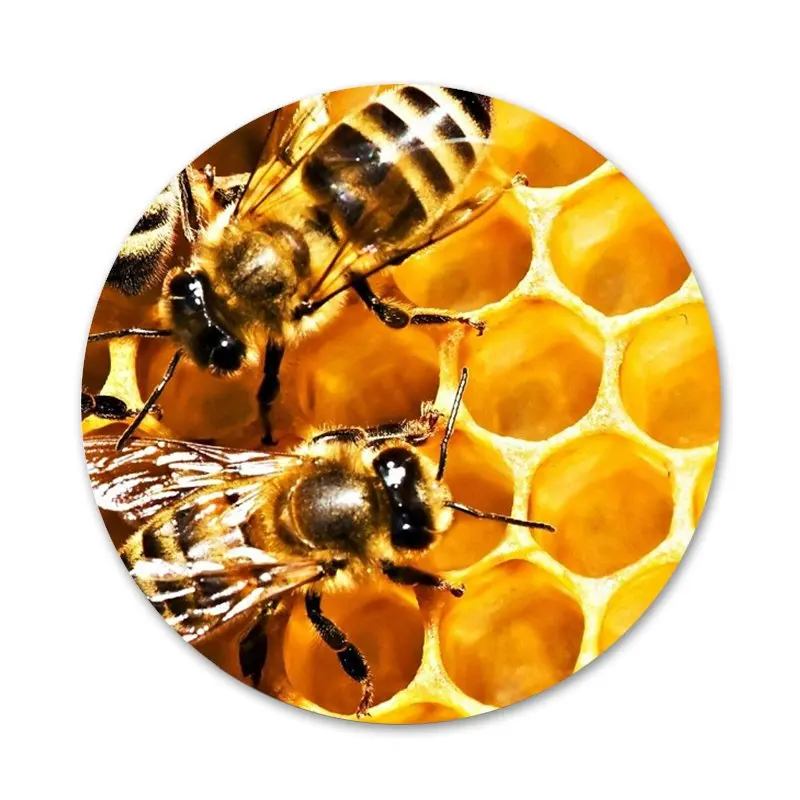 58 мм Золотой Honeycomb медоносной пчелы значок на булавке декоративные Броши