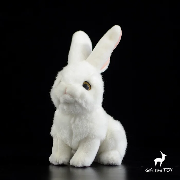 

gift model rabbit bunny