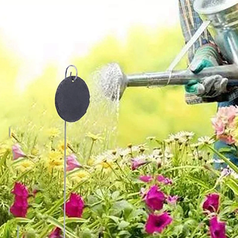 

Plant Markers & Labels, Garden Sign, Plant Labels, Plant Slate Signs Stainless Steel Pendant Labels, 3PCS