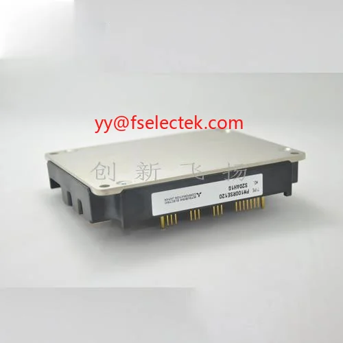 

PM100RSE120